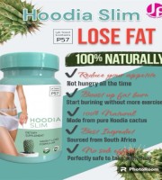 HOODIA Slim